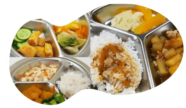 Well Balanced Nutritional Meals